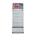 Nasco Refroidisseur Vertical Une Porte 450L - NAS-CH600-1DR