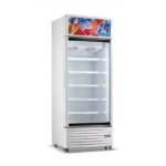 Nasco Refroidisseur Vertical Une Porte 450L - NAS-CH600-1DR – Image 2
