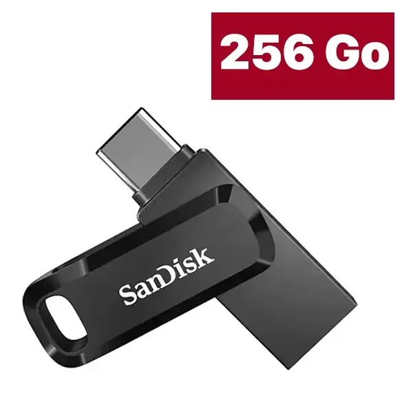 Clé USB SanDisk – Double connectique USB Type-C – Ultra Dual Drive Go - 256GB - SDDDC3-256G-G46 - Noir