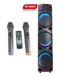 Haut-parleur avec deux micros Smart Technology - 1000W - Rechargeable - Bluetooth – USB – AUX – Télécommande - STHP-3100E